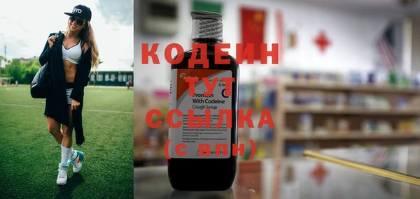 молекула духа Киренск